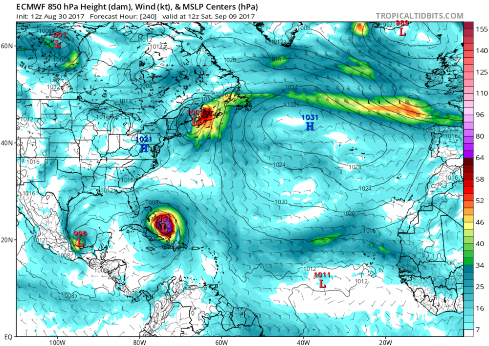 ecmwf_mslp_uv850_atl_11.thumb.png.e324d0c6bebcfccbf61b65c11e557598.png
