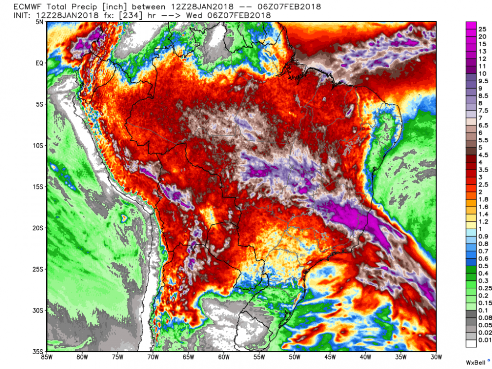ecmwf_tprecip_brazil_40.png