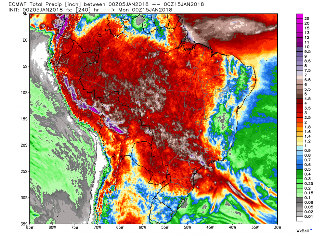 ecmwf_tprecip_brazil_41.png