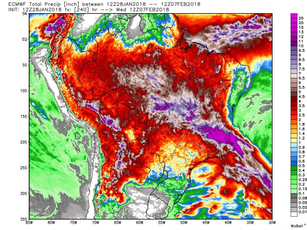 ecmwf_tprecip_brazil_41.thumb.png.6b5ce3dc3cb67c164c9f488ac568b454.png