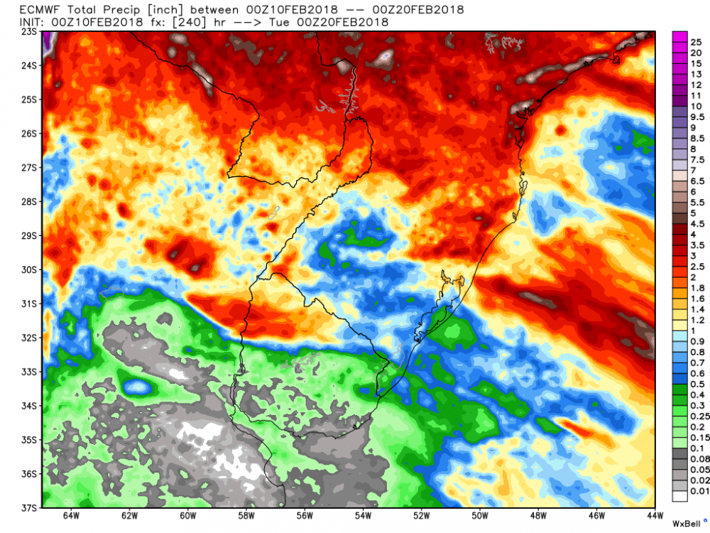 ecmwf_tprecip_southbrazil_41.png