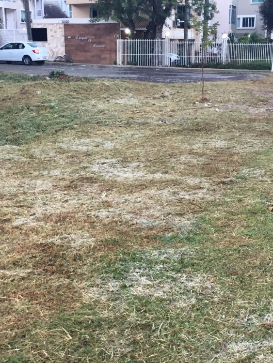 WhatsApp Image 2018-05-21 at 07.07.16 (1).jpeg