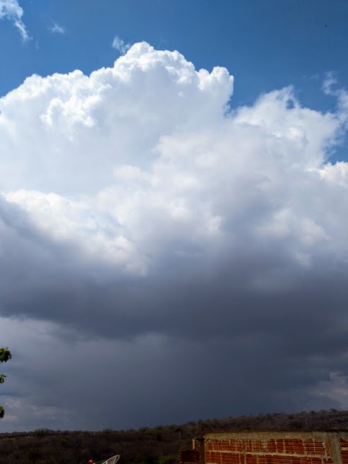 1363190923_Chuva16deoutubro.jpg.3fdcce70a8884d6adcf43af0db6dc6f3.jpg
