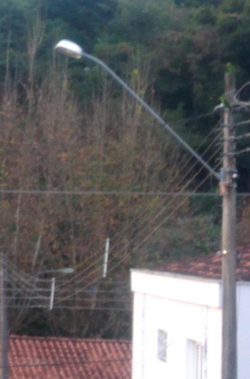 Plátano 2 Junho 2019.jpeg