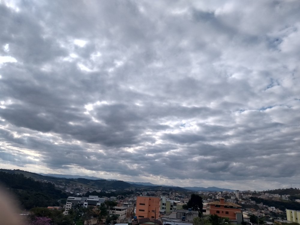 IMG_20190617_150659559_HDR.thumb.jpg.b6b58e2eee15fc9e85e91ad615ace318.jpg
