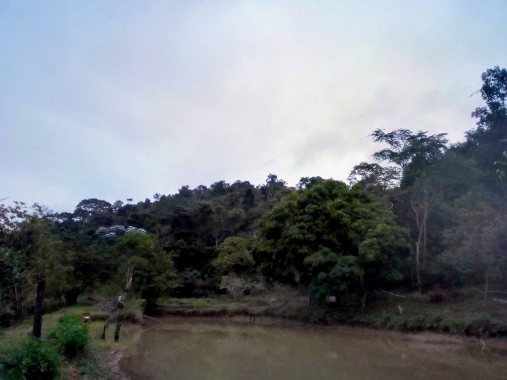 IMG_20190707_165729_HDR~2.jpg