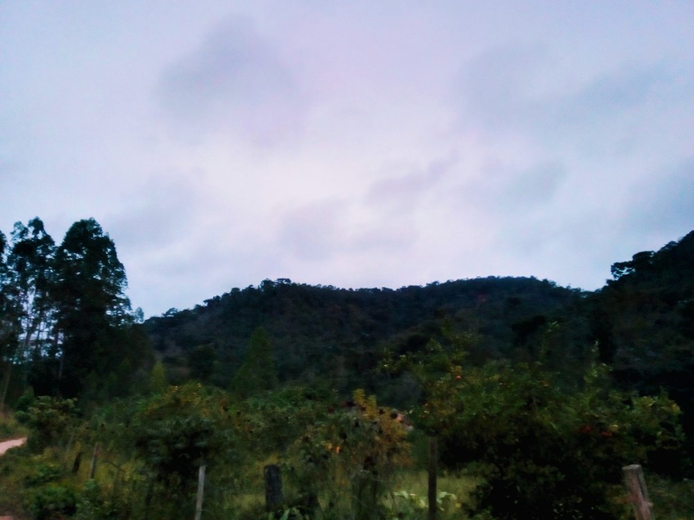 IMG_20190707_172125_HDR~2.jpg