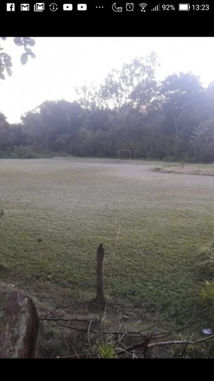 Geada Socorro SP 09 Julho 2019 Vanessa Campos Leon.jpeg