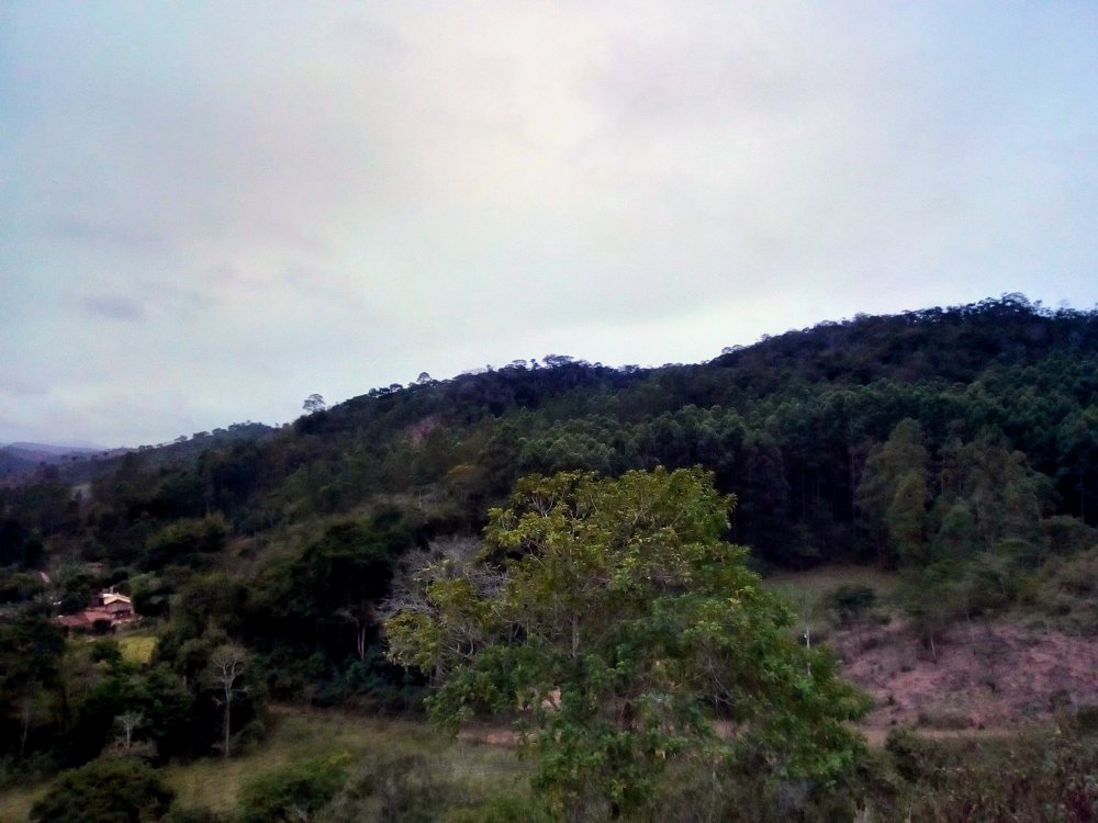 IMG_20190707_171310_HDR~2.jpg