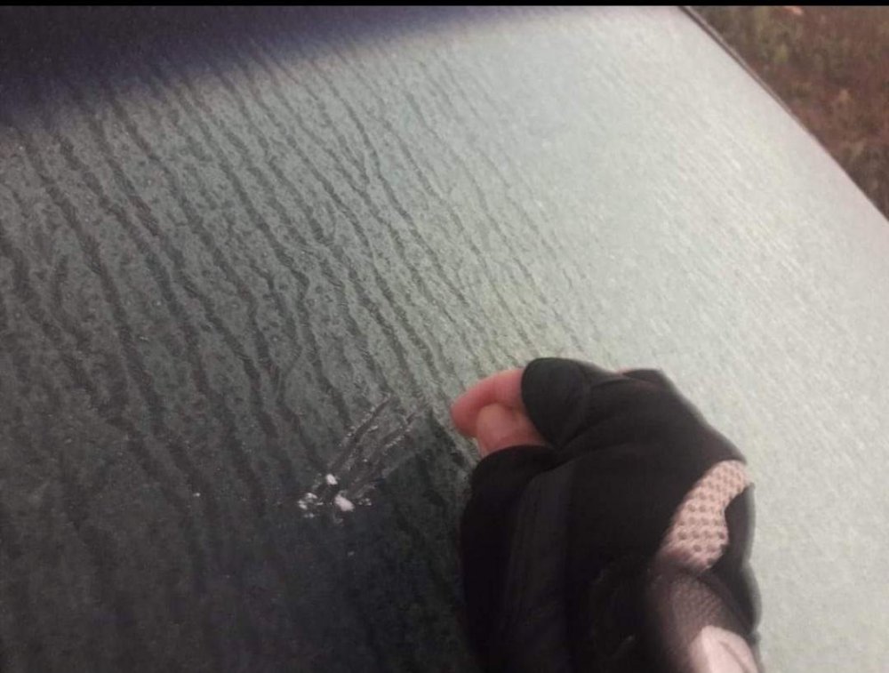 Geada Socorro SP 08 Julho 2019 P2.jpeg