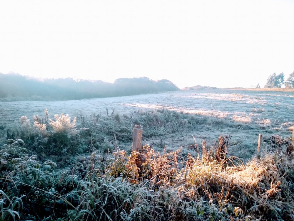 0907 cel new (2).jpg