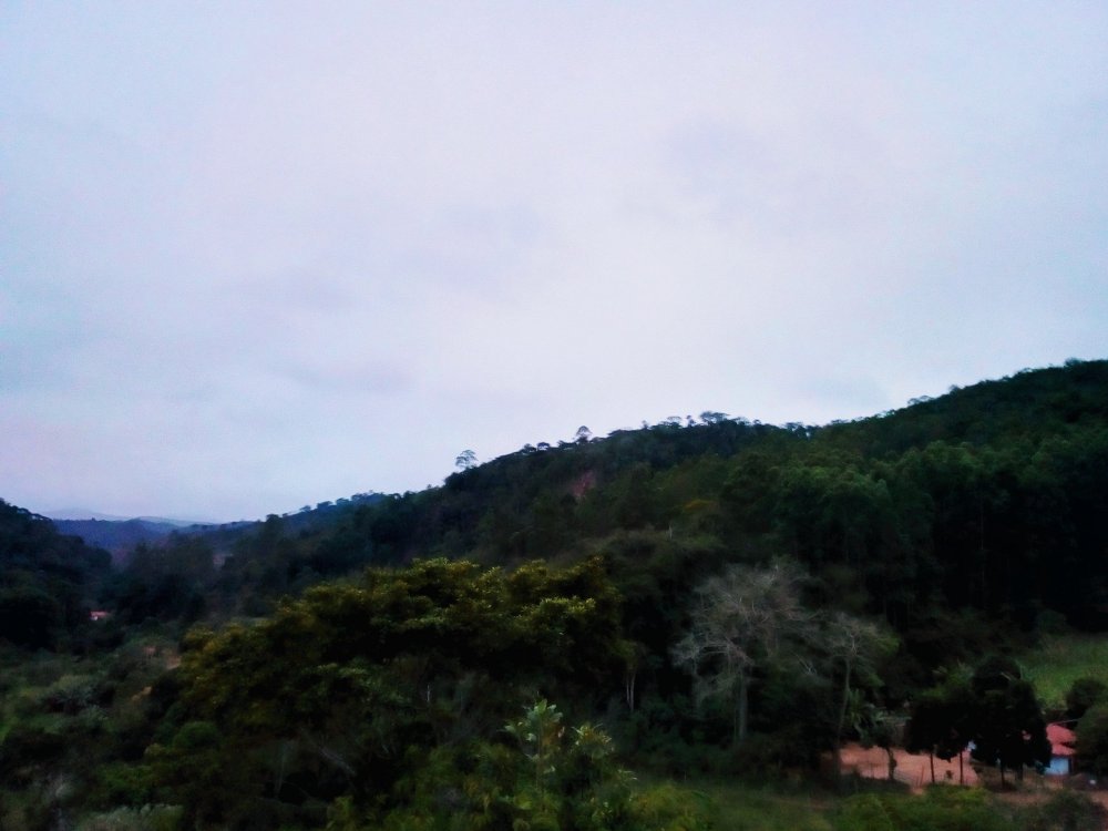 IMG_20190707_170845_HDR~2.jpg