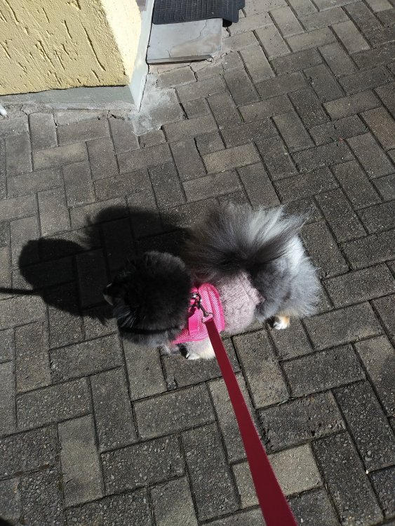 20190705_104829.jpg
