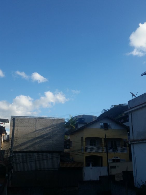 20190707_151956.jpg