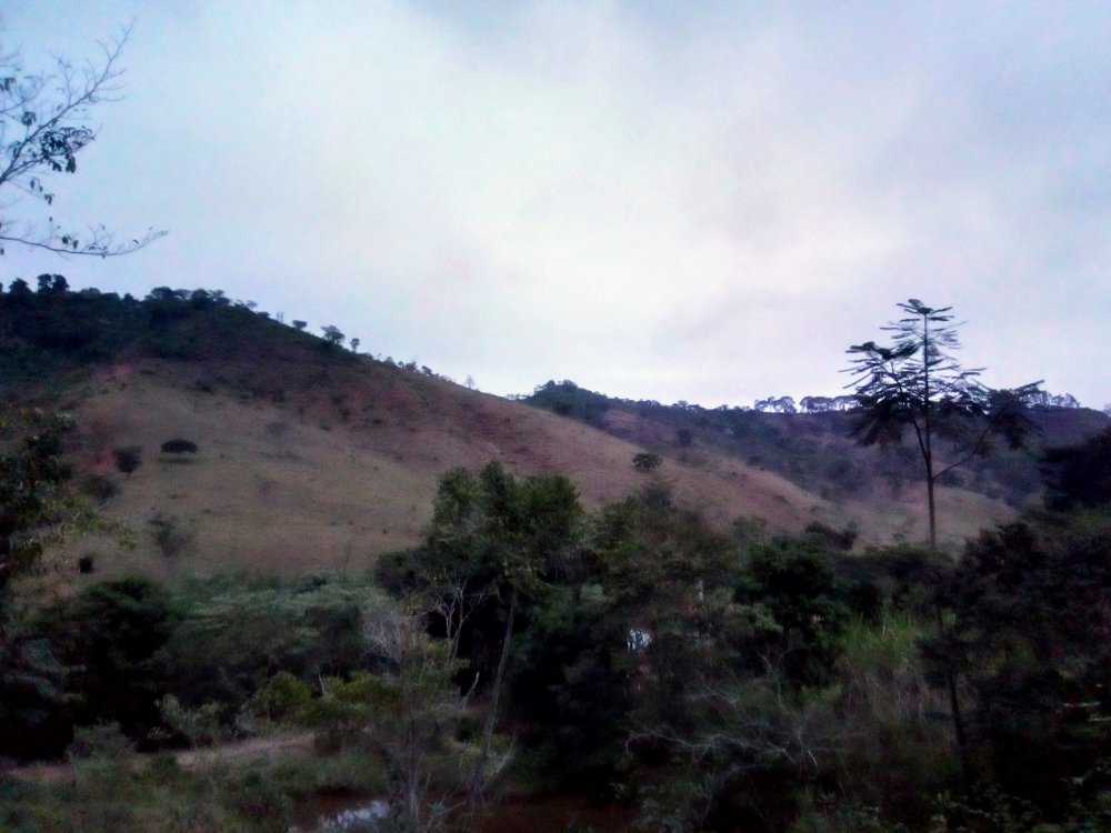 IMG_20190707_172935_HDR~3.jpg
