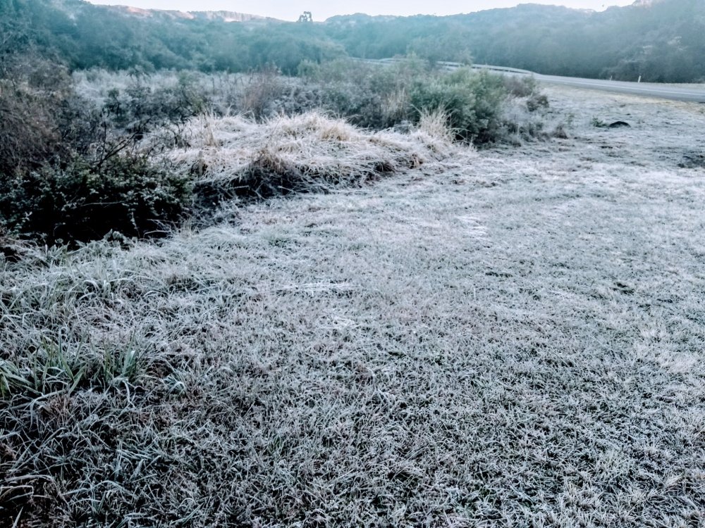 0907 cel new (3).jpg