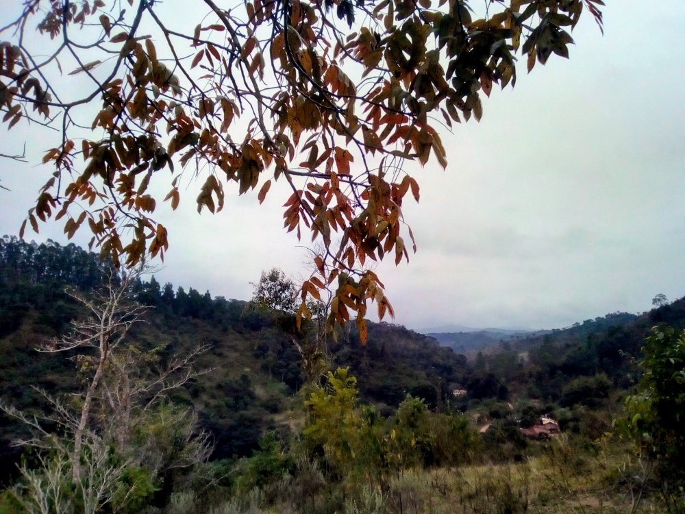 IMG_20190707_171136_HDR~2.jpg