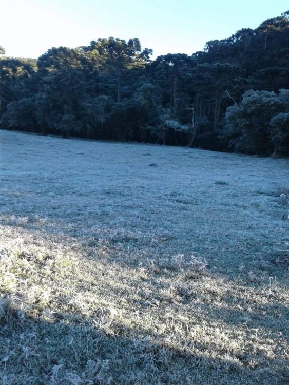 received_349021056034070.jpeg