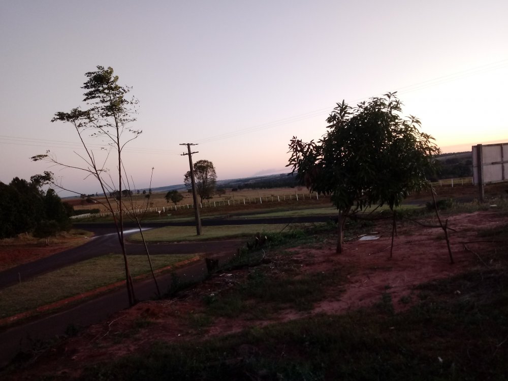 20190803_182209.jpg