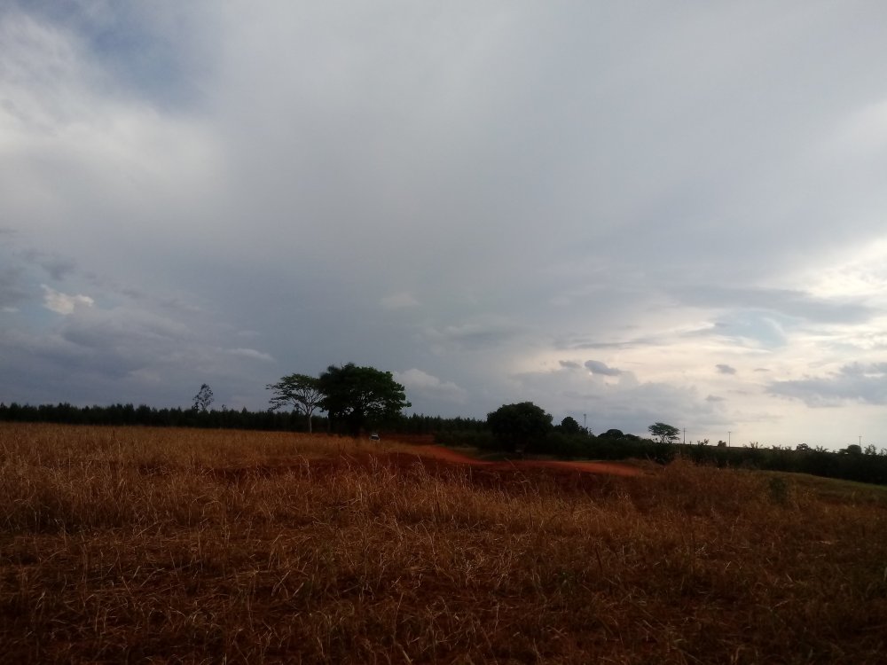20191014_160532.thumb.jpg.baffb8a042c9a2e20c6d62d537637aac.jpg