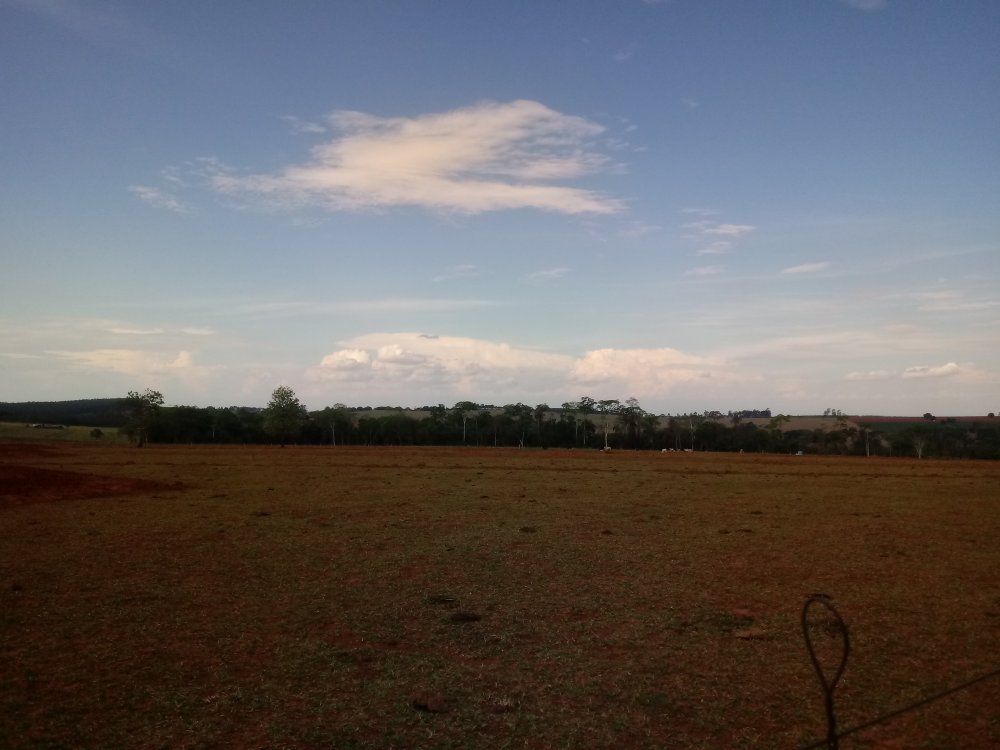 20191014_160553.thumb.jpg.fea82b500ea56e756f9cfb52a96a3e65.jpg
