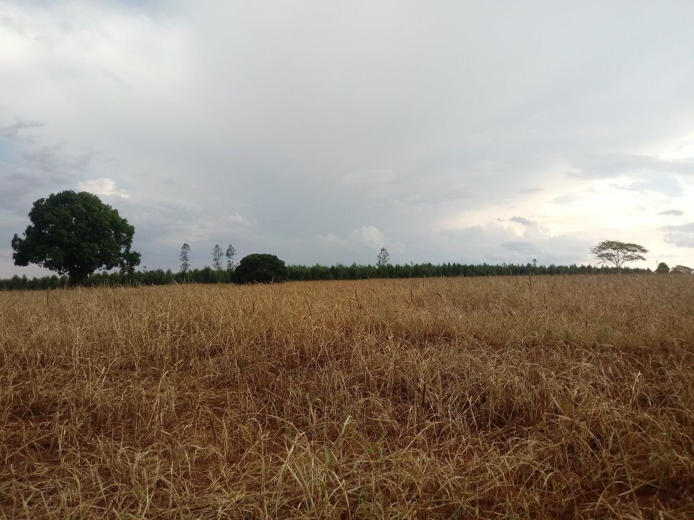20191014_160741.jpg