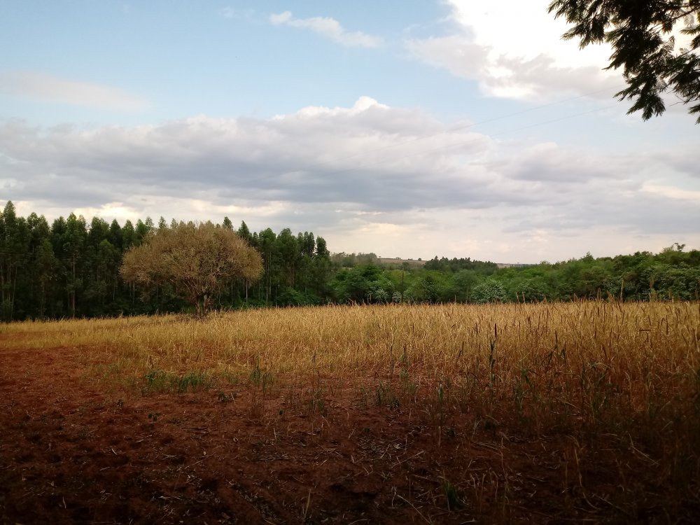 20191014_161940.thumb.jpg.bf334328562029af78fca8c818dadcf6.jpg