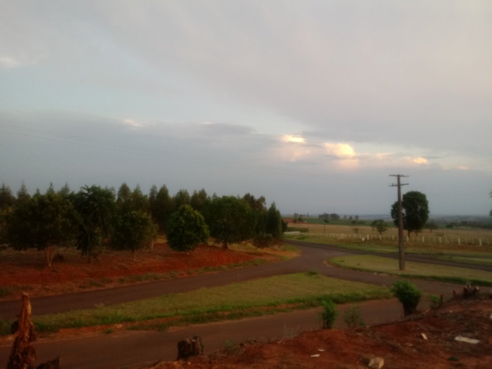20191015_182923.thumb.jpg.9ec8d9f4e596deba621832e7cb4ff030.jpg