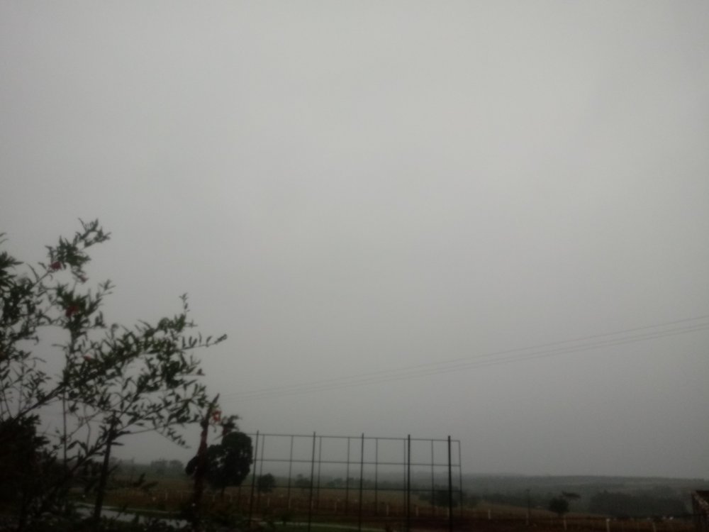 20191031_181502.thumb.jpg.368cfbb0ecb7aa853b00f561981a8576.jpg