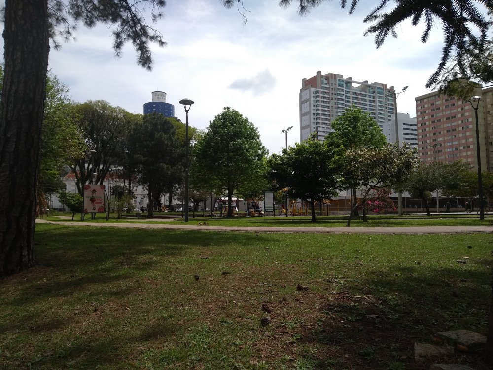 IMG_20191008_131139669.jpg