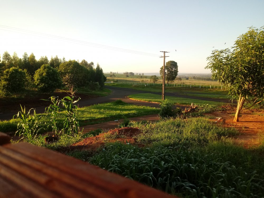 20191206_061959.jpg
