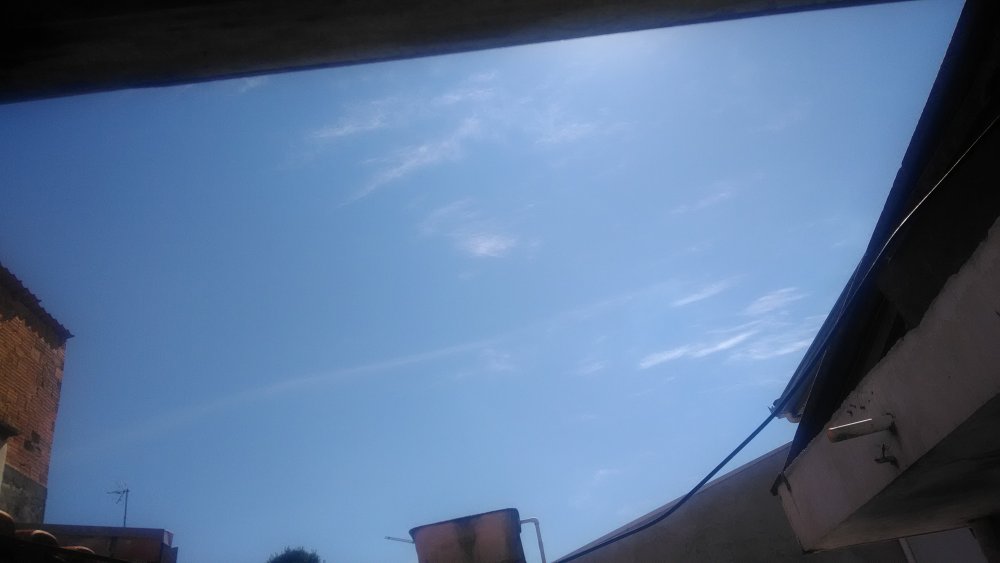 P_20191207_091515.jpg