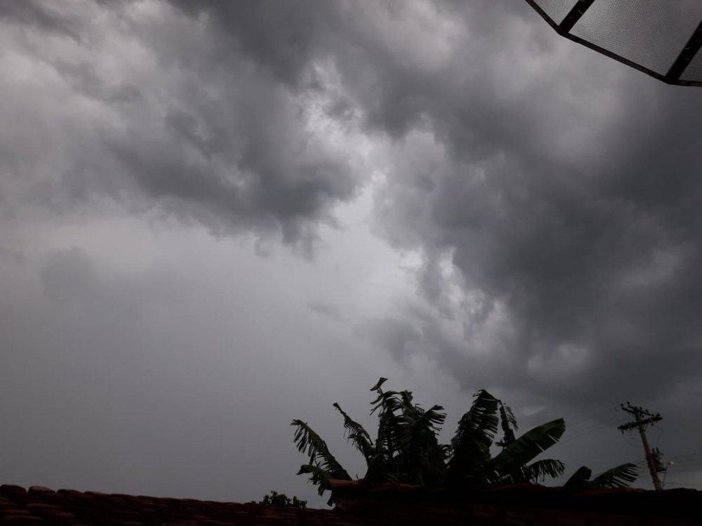 WhatsApp Image 2020-01-16 at 19.59.50.jpeg