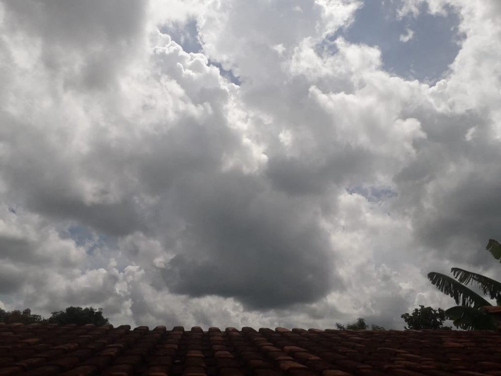 WhatsApp Image 2020-01-08 at 14.54.30.jpeg