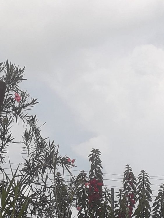 WhatsApp Image 2020-01-08 at 14.47.25.jpeg