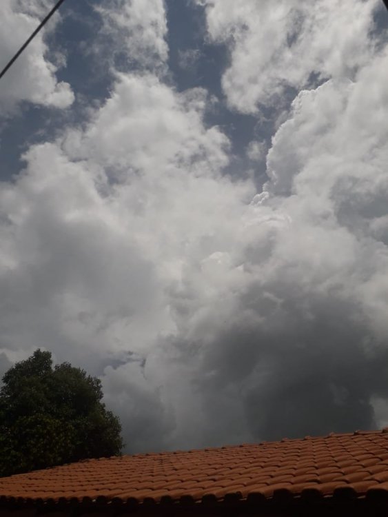 WhatsApp Image 2020-01-08 at 14.46.52.jpeg