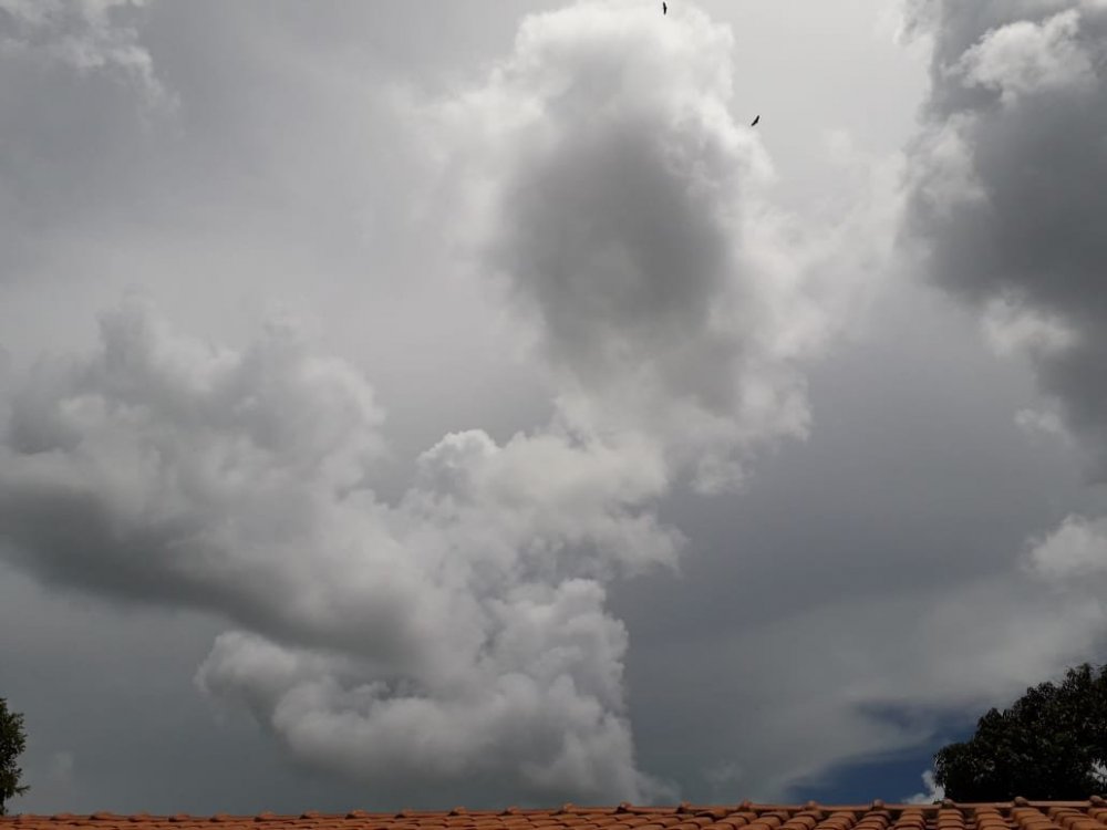 WhatsApp Image 2020-01-09 at 14.05.03 (1).jpeg