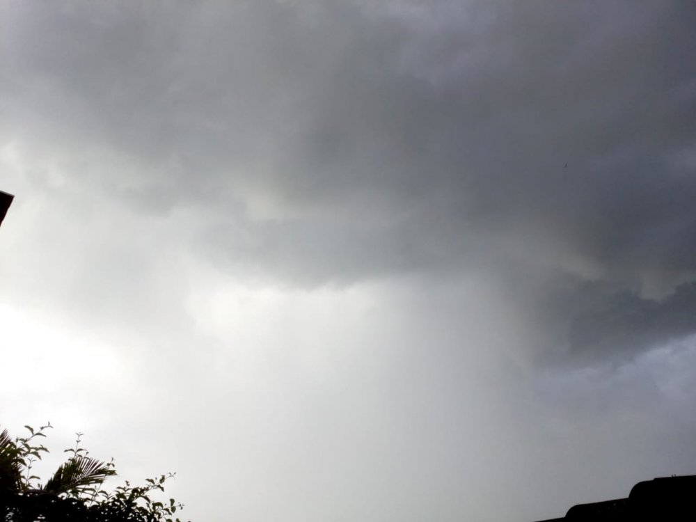 WhatsApp Image 2020-02-09 at 17.43.09.jpeg