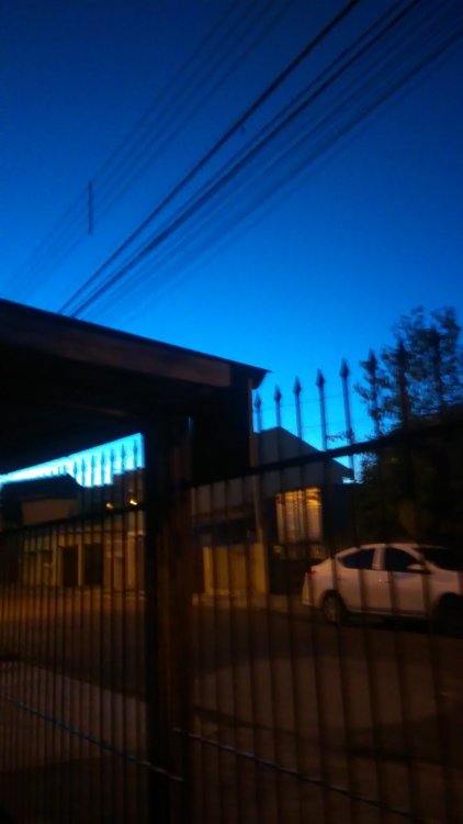 P_20200415_060634.jpg