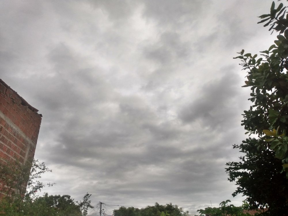IMG_20200529_144839259_HDR.thumb.jpg.cf8a13739ebcf51e6e4751df133a55a4.jpg