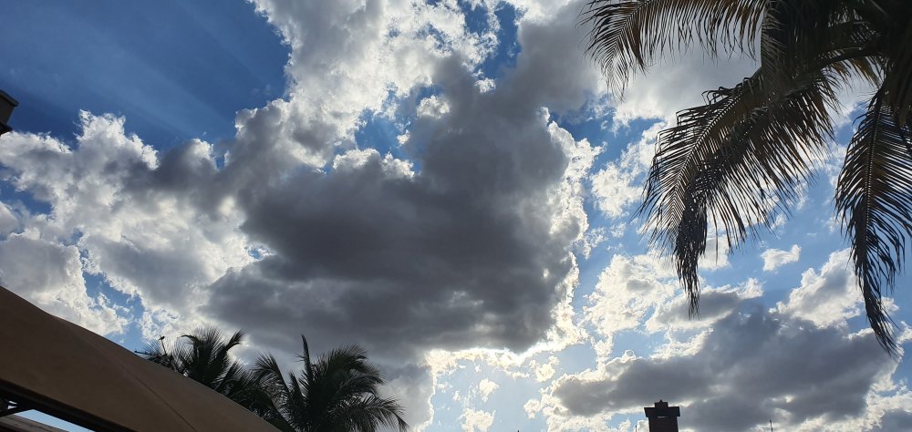 20200729_160655.jpg