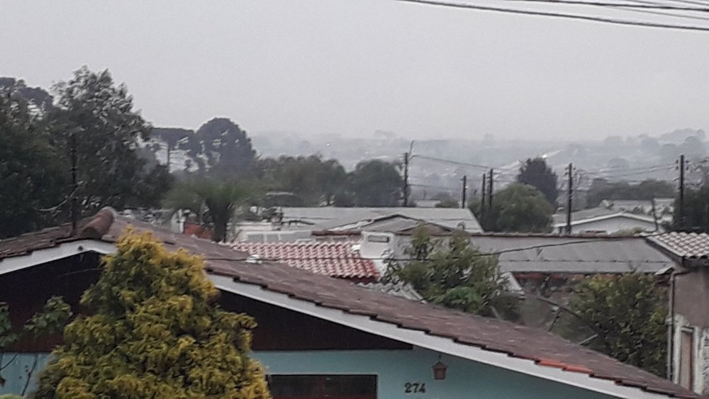 20200815_151737.jpg