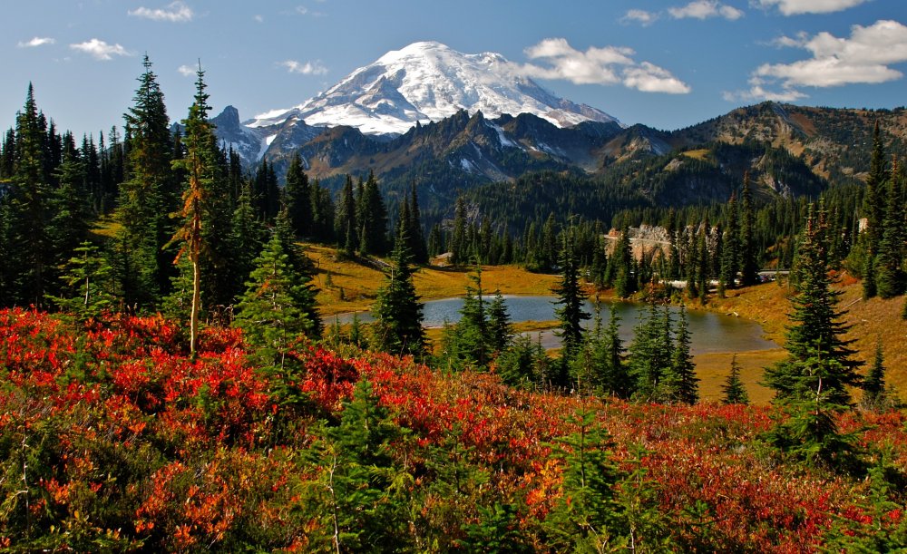 Mount-Rainier-Fall-Colors-Photo-Credit-Mike-Peters.thumb.jpg.8f1d9dc3af65d490e53c52cf51d07eff.jpg