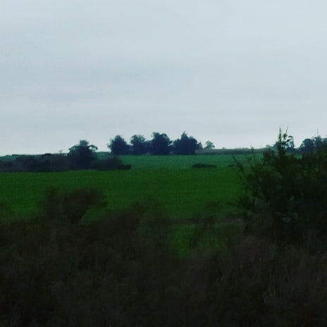 image.png.d2aef0c5ccfc36529c8c823c8d479d70.png