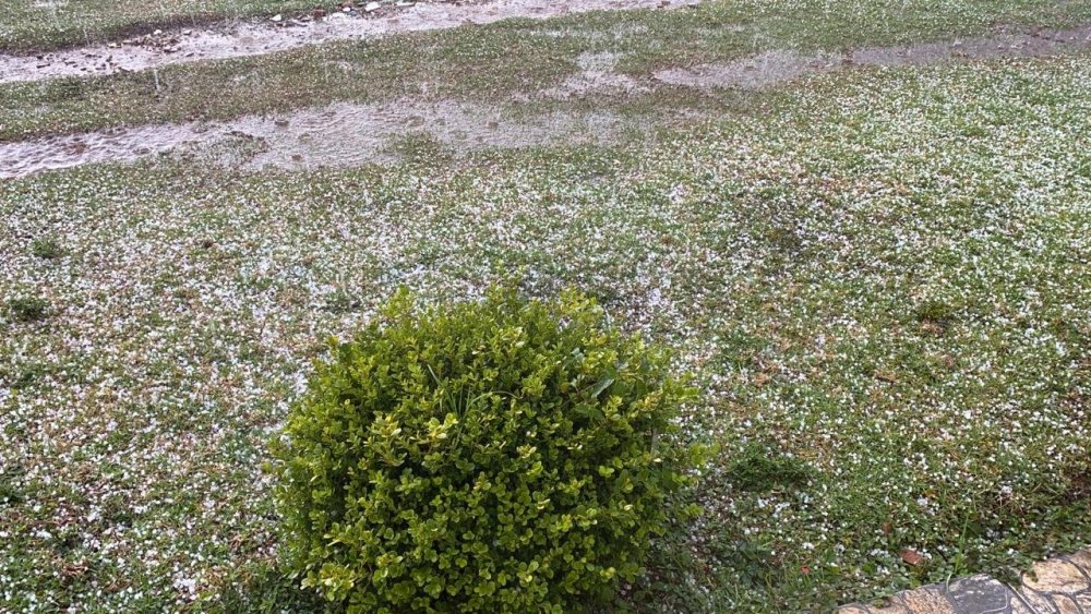 WhatsApp Image 2020-09-29 at 14.44.25.jpeg