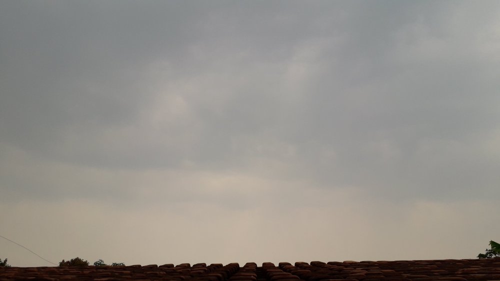 20200918_134129.thumb.jpg.b2281d3877a09f802294d397165e30fa.jpg
