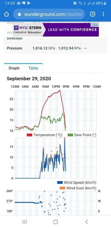 WhatsApp Image 2020-09-29 at 15.02.31.jpeg