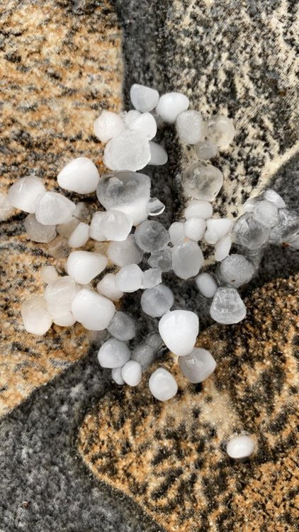 WhatsApp Image 2020-09-29 at 14.56.03.jpeg