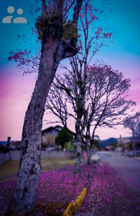 WhatsApp Image 2020-09-06 at 12.24.05.jpeg