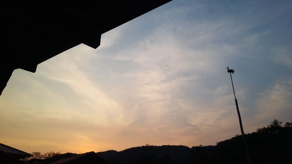 image.thumb.png.41f6720bf36353731aea3cd08cbc99bb.png